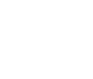 4 Vision Systems : Facial and gesture recognition hardware and solutions